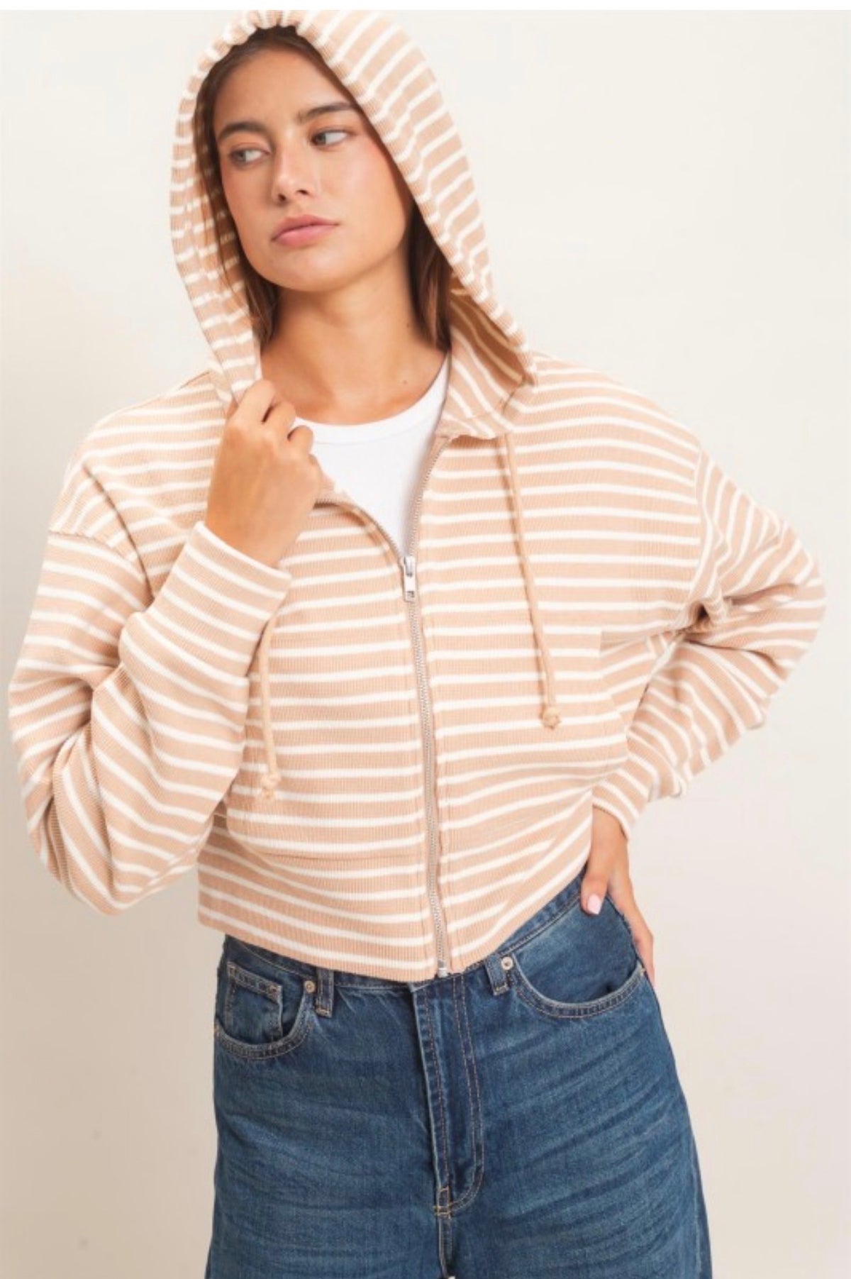 Striped Zip Up Hoodie